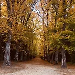 Hotell Balneario De La Virgen Jaraba