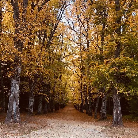 Hotel Balneario De La Virgen Jaraba
