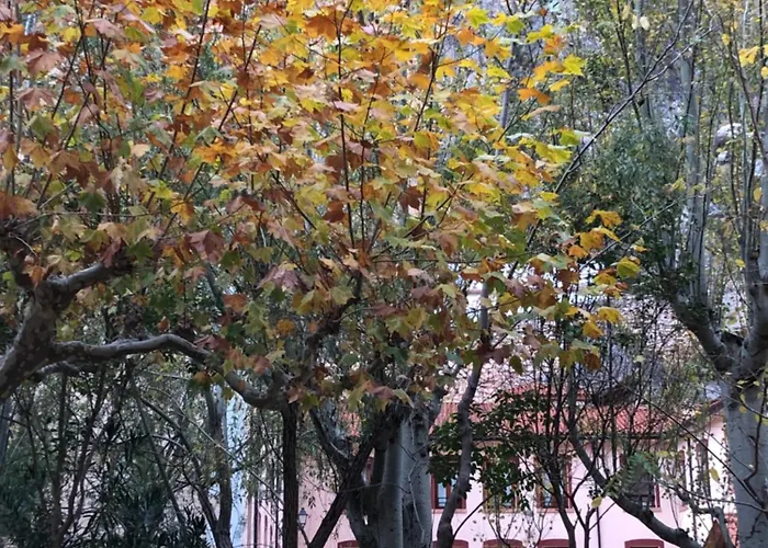 Balneario De La Virgen Jaraba