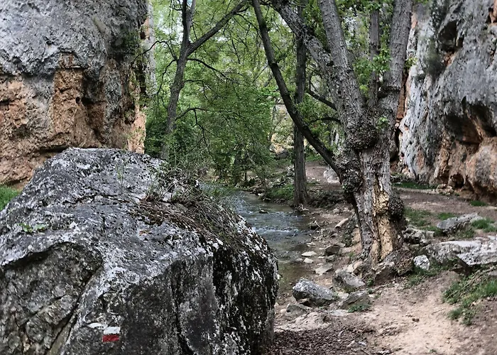 Balneario De La Virgen Hotell Jaraba