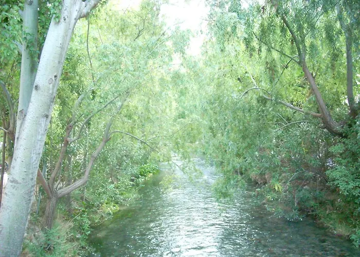 Balneario De La Virgen Hotell 3*