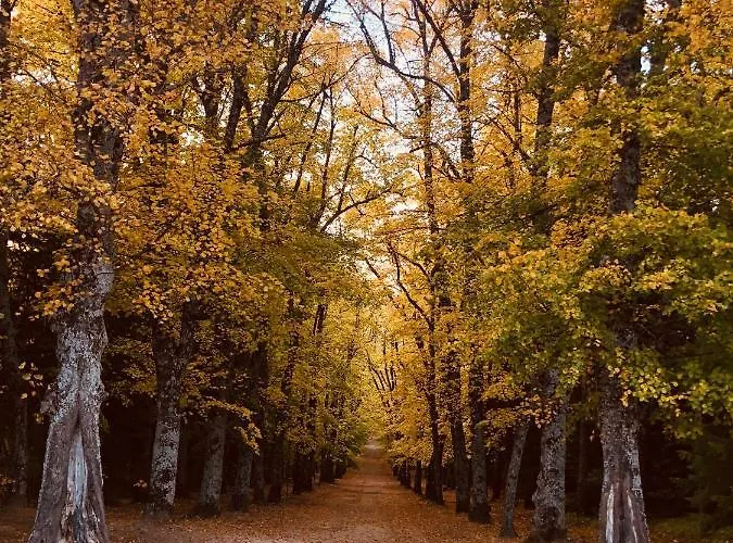 Hotell Balneario De La Virgen Jaraba