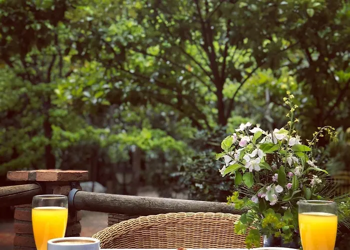 酒店 巴尔内阿里奥坎德拉圣女酒店 3*